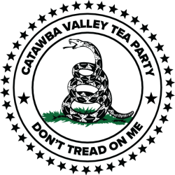 BLACK CVTP LOGO